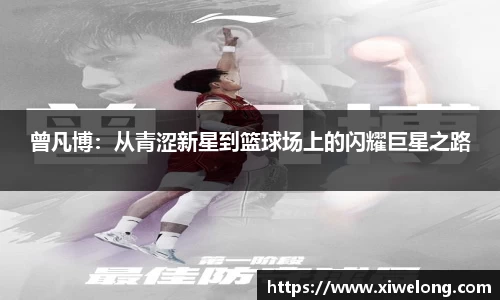 凤凰联盟官方网站