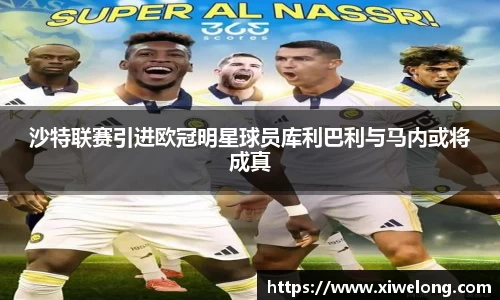 沙特联赛引进欧冠明星球员库利巴利与马内或将成真
