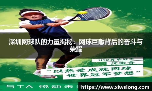深圳网球队的力量揭秘：网球巨献背后的奋斗与荣耀