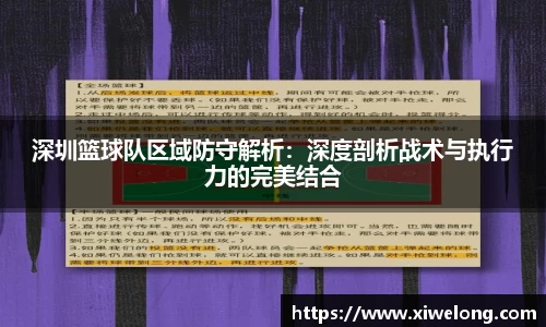 深圳篮球队区域防守解析：深度剖析战术与执行力的完美结合